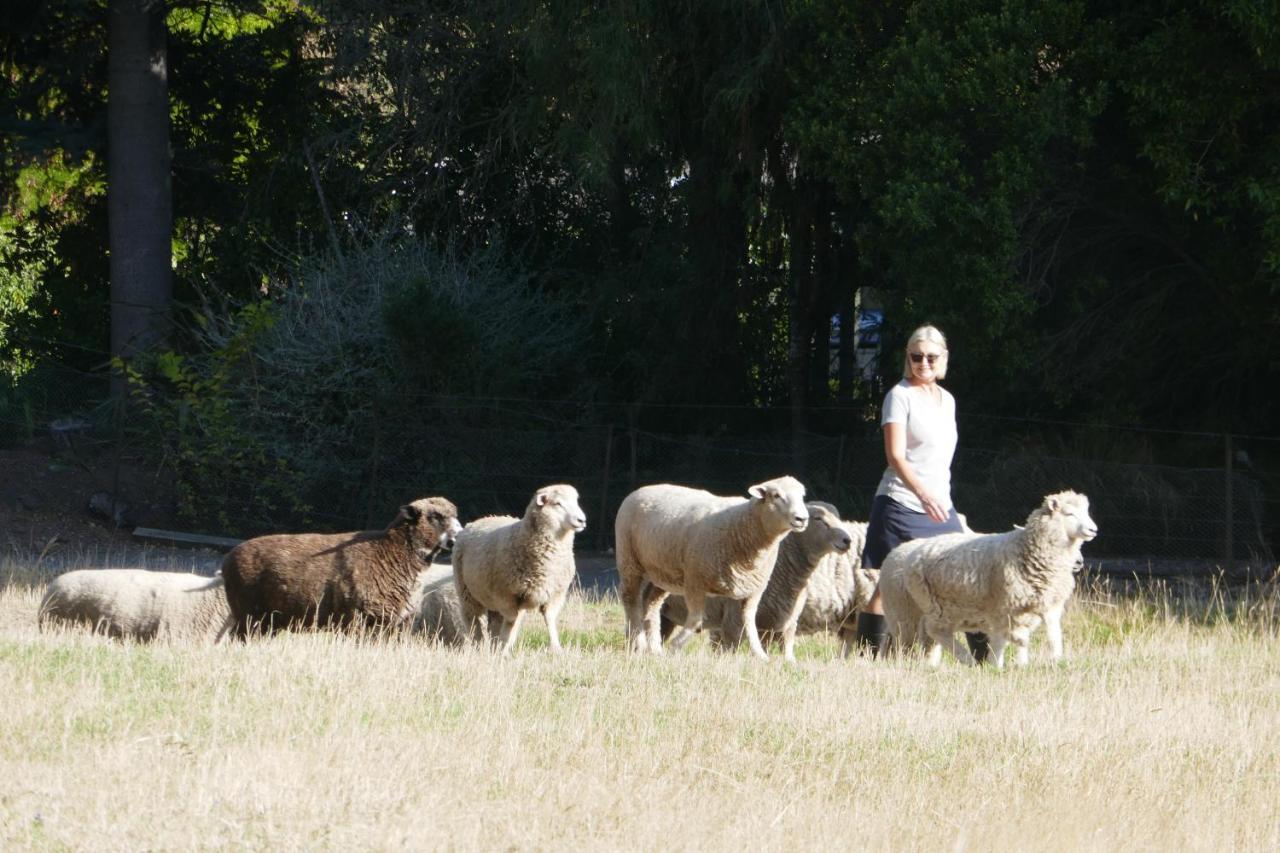 Karetu Downs Farm *