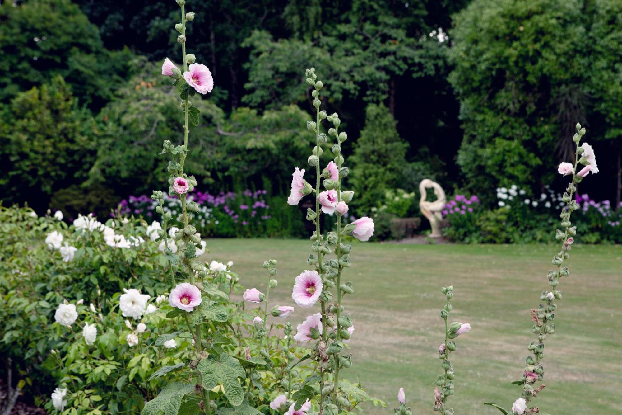 Karetu Downs Farm Farm stay Hawarden