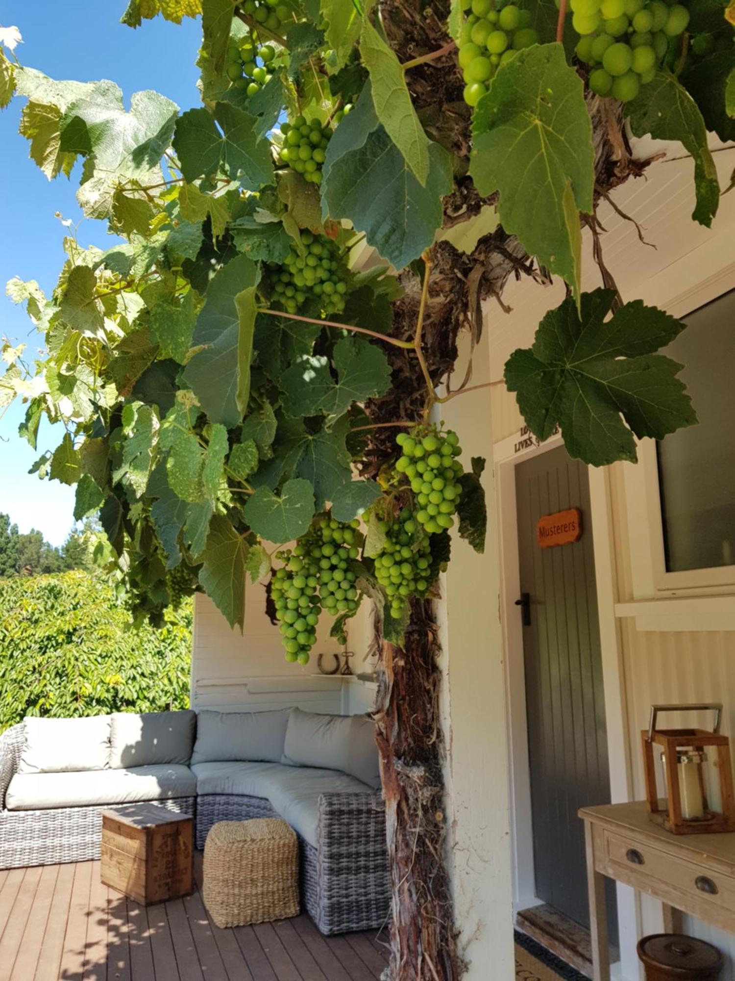 Karetu Downs Farm Farm stay Hawarden