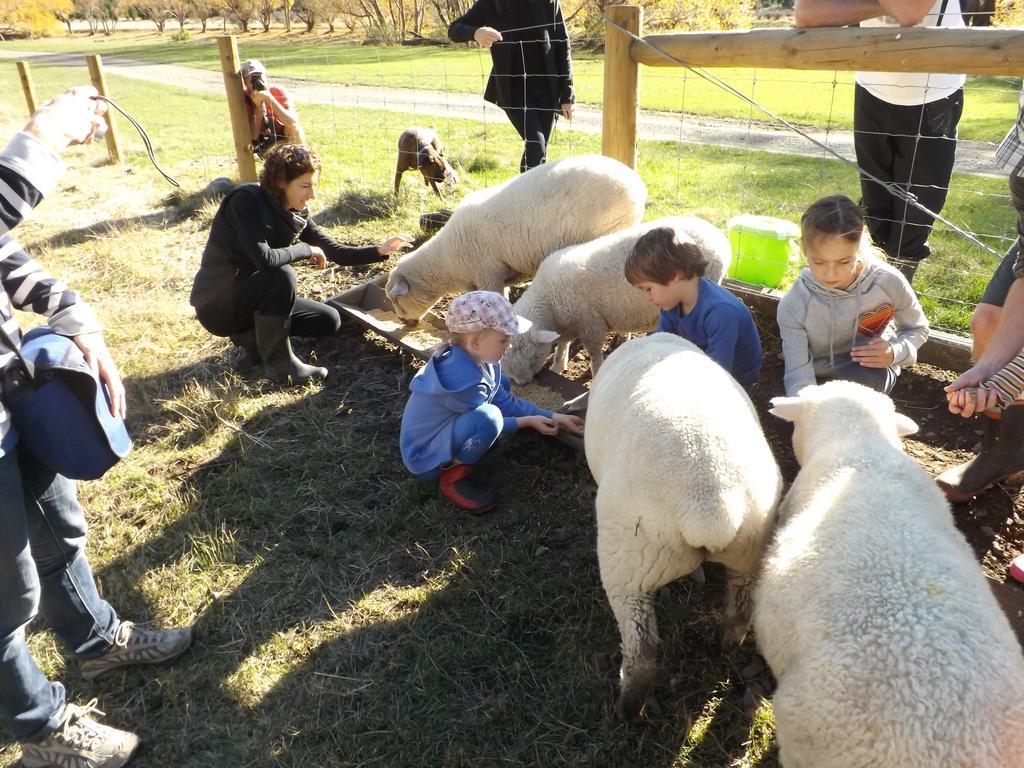 Farm stay Karetu Downs Farm