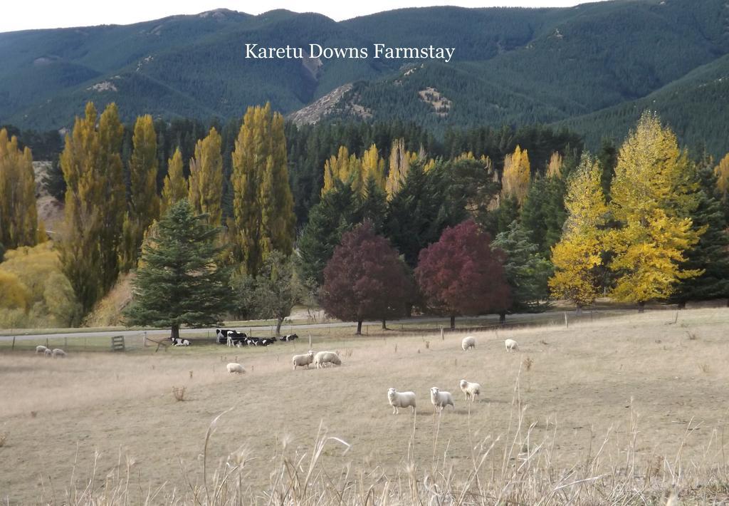 Farm stay Karetu Downs Farm