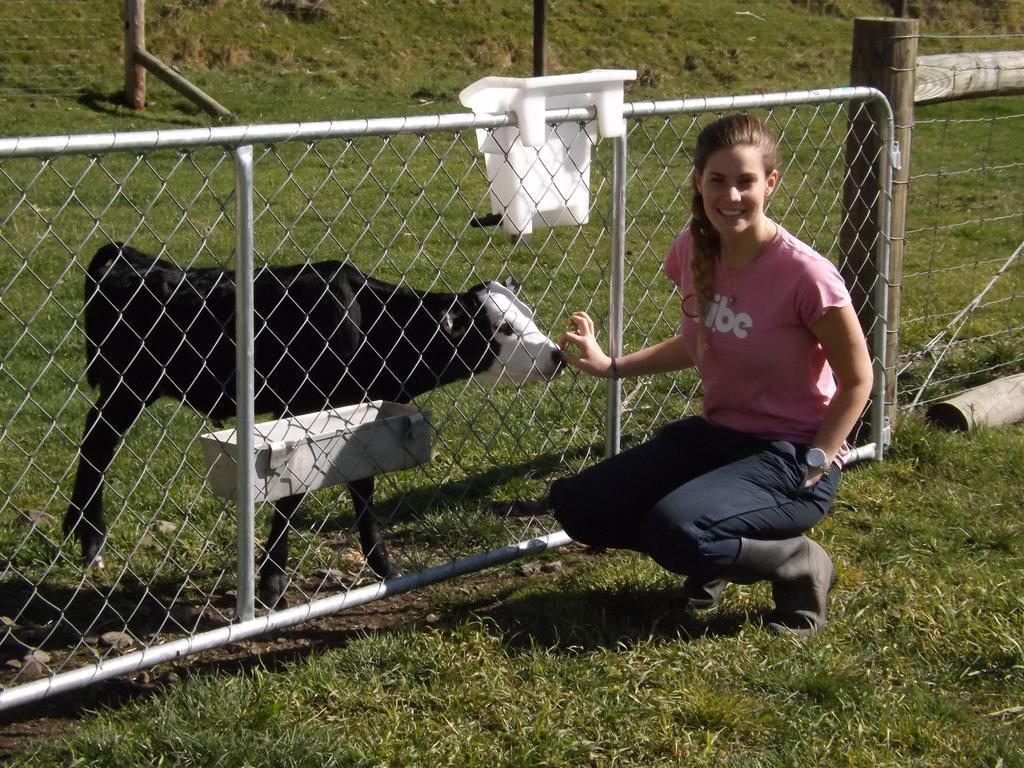 Farm stay Karetu Downs Farm Hawarden