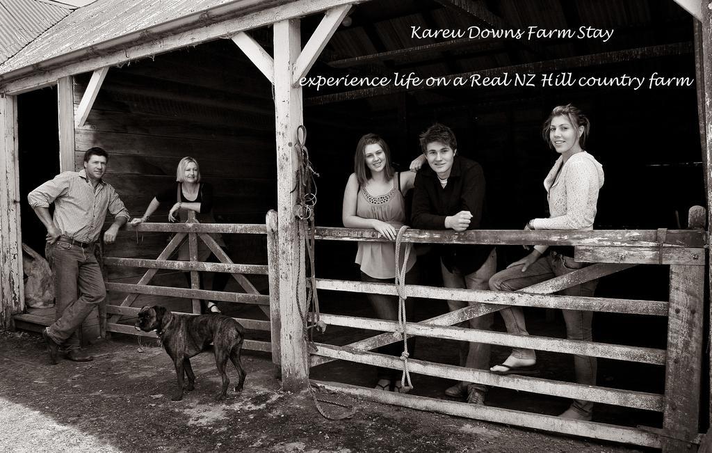 Farm stay Karetu Downs Farm Hawarden
