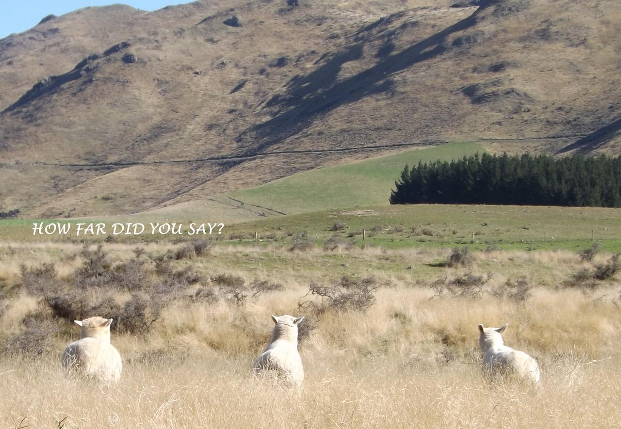 Karetu Downs Farm