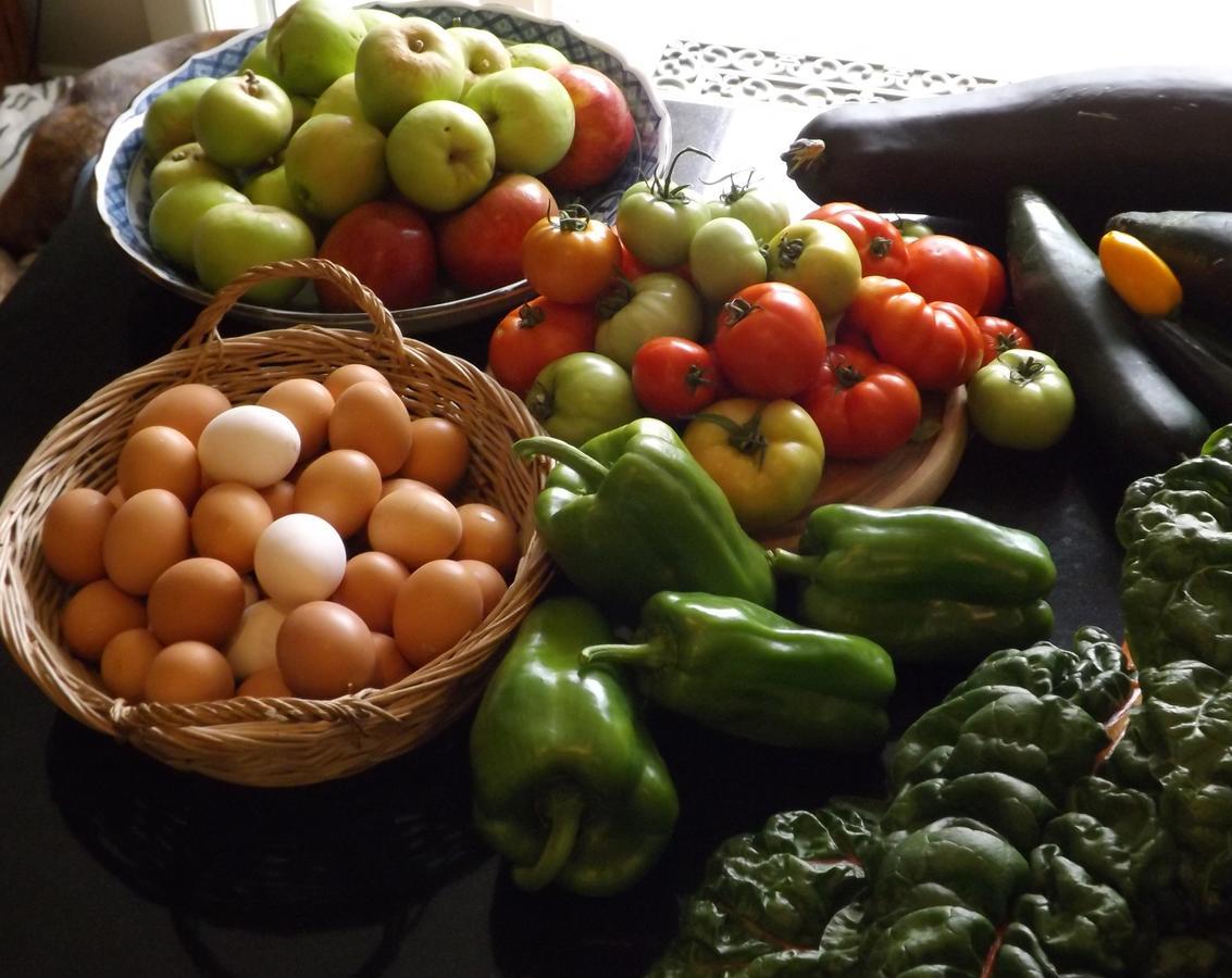 Karetu Downs Farm